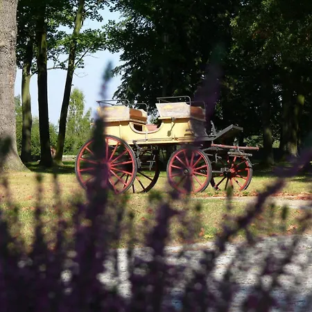 Dwor Zbozenna 度假村 Przysucha